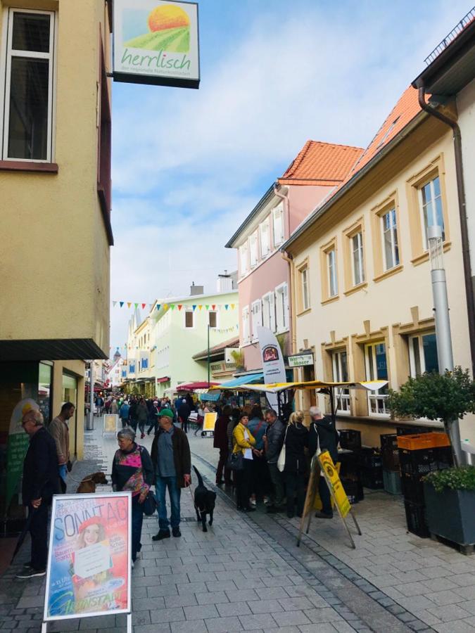 Boutique-Ferienwohnung Im Alten Weinhaus Moser Grünstadt Zewnętrze zdjęcie